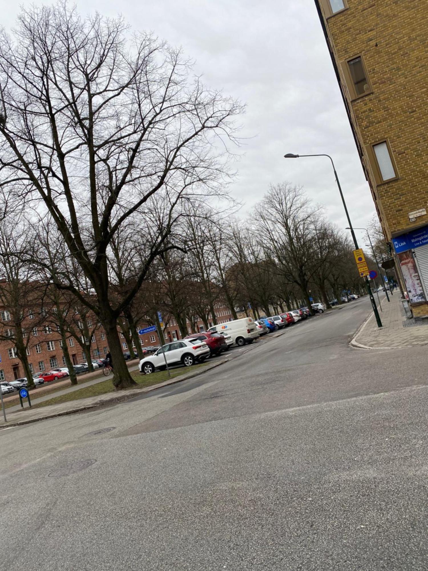 Comfort Appartment In Vaernhem, Malmoe Exteriér fotografie